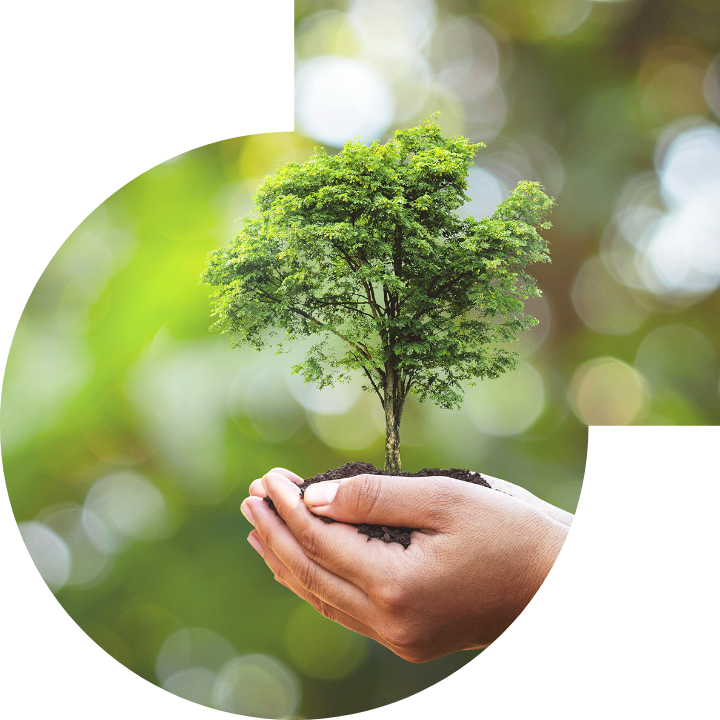 关怀人类、文化、环境与社会